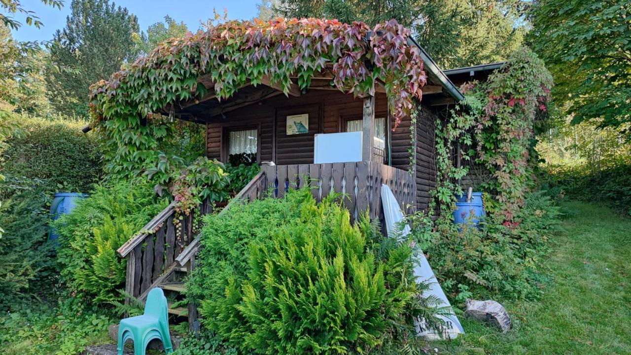 Cafe Pension Sonnenkanzel Staatsbad Bruckenau Luaran gambar